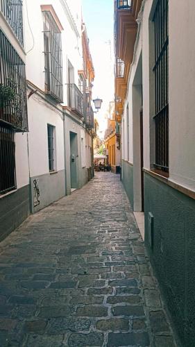 RentalSevilla Tintes
