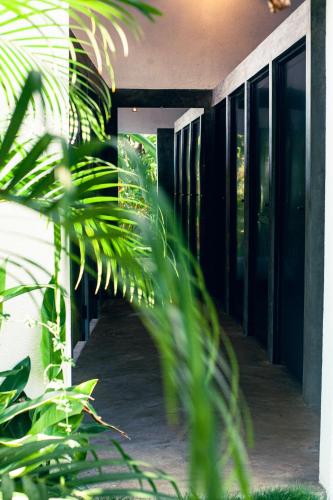 a building with glass doors and plants in the foreground at The Well in Ahangama