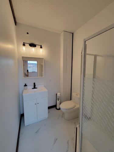 a bathroom with a toilet and a sink and a shower at Stone House Kenora in Kenora