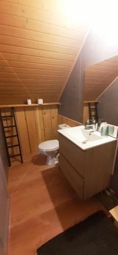 ein Bad mit einem Waschbecken und einem WC in der Unterkunft Chambre d'hôte de la Source Bleue in Cusance