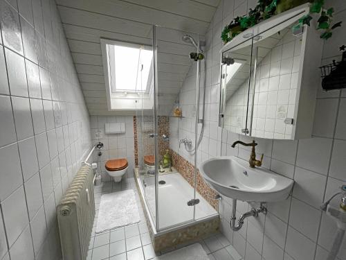ein Bad mit einer Dusche, einem Waschbecken und einem WC in der Unterkunft Ferienwohnung Comic Fantasy in Lindau