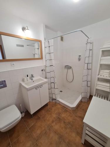 uma casa de banho com um chuveiro, um WC e um lavatório. em Apartmány Modrý deň em Bojnice