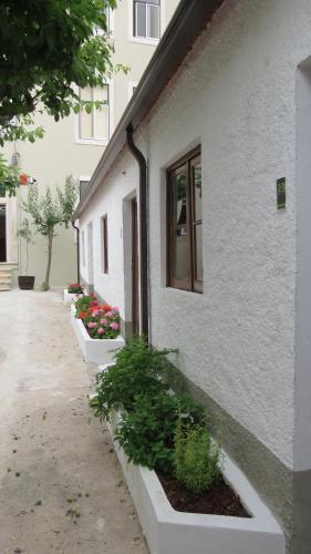 a row of plants sitting outside of a building at Alojamento Local Duarte's in Coimbra
