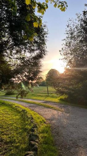 a path in a park with trees and the sunset at Idyllisches Appartement nahe Ostsee und Schlei in Rabenkirchen-Faulück
