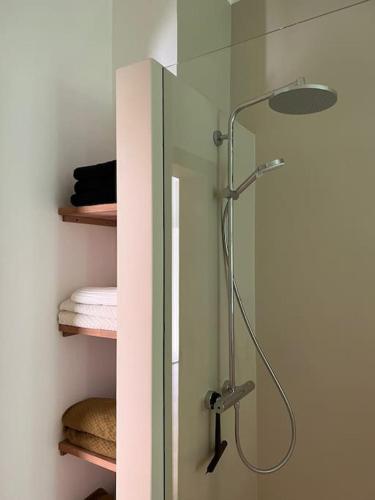 a shower with a glass door in a bathroom at Idyllisches Appartement nahe Ostsee und Schlei in Rabenkirchen-Faulück