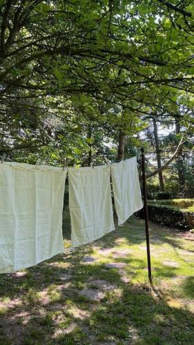 a clothes line with towels hanging from a tree at Idyllisches Appartement nahe Ostsee und Schlei in Rabenkirchen-Faulück