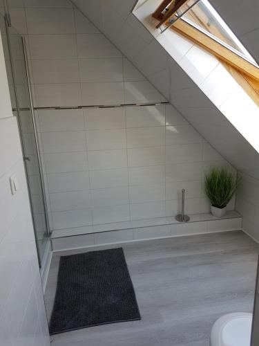 - une salle de bains mansardée pourvue d'une douche en verre dans l'établissement Ferienhaus Landleben, à Sörup
