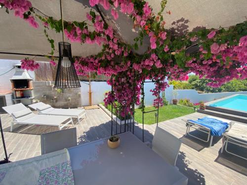 un patio con flores rosas y una piscina en Buganvilla Alentejo en São Francisco da Serra