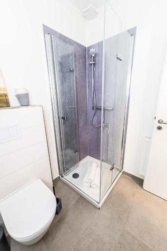 a bathroom with a shower and a toilet at Hökis-Zimmervermietung 5 in Brande-Hörnerkirchen