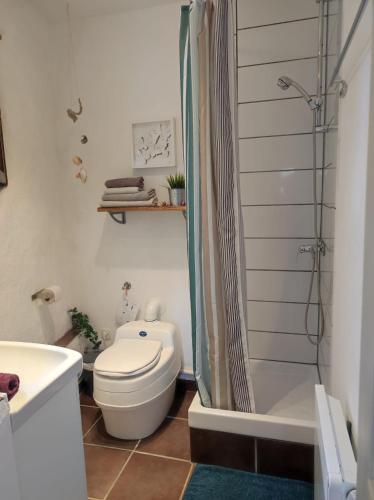 une salle de bain avec toilettes et douche dans l'établissement Sole e Ventu 30qm, à San-Giovanni-di-Moriani