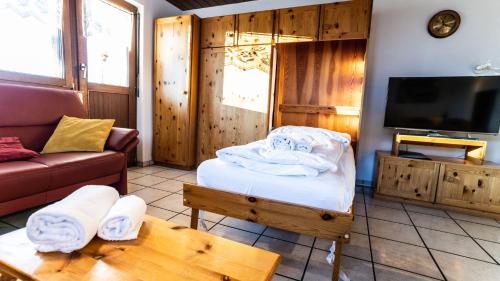 a living room with a couch and a tv at Haus Sportina in Riederalp
