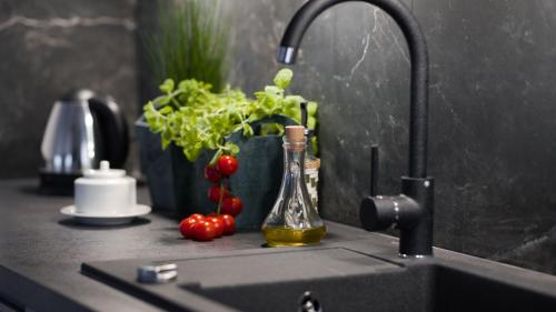 un lavello da cucina con un rubinetto e verdure su un bancone di Apartamenty Lambert Ustronie Morskie a Ustronie Morskie
