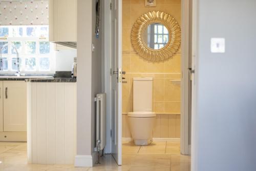 a bathroom with a toilet and a mirror at Saxon House 7 in Harome