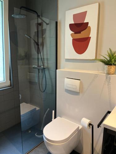 a bathroom with a toilet and a shower at Mathilde Zimmervermietung in Lengede