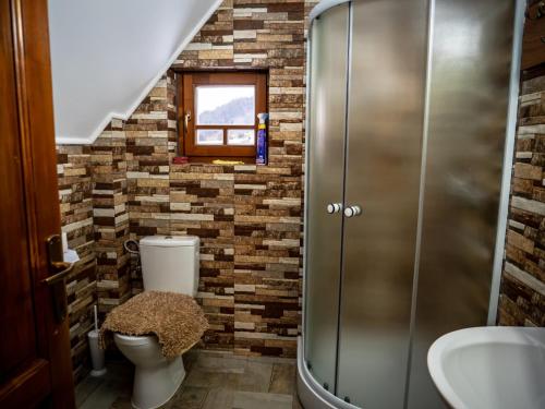uma casa de banho com um WC e uma cabina de duche em vidro. em Hanu lu’ Vasile em Breb