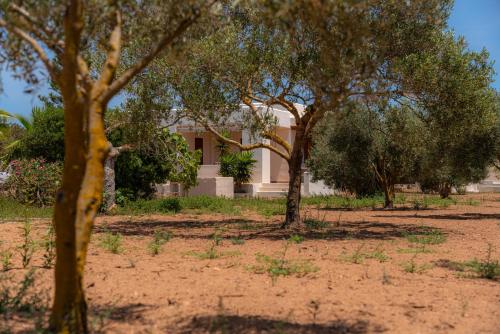 Fotografie z fotogalerie ubytování Siamoformentera Villa Beatrice v destinaci Playa Migjorn