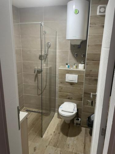 Un baño con inodoro y ducha de cristal. en Milmari N53, en Kopaonik