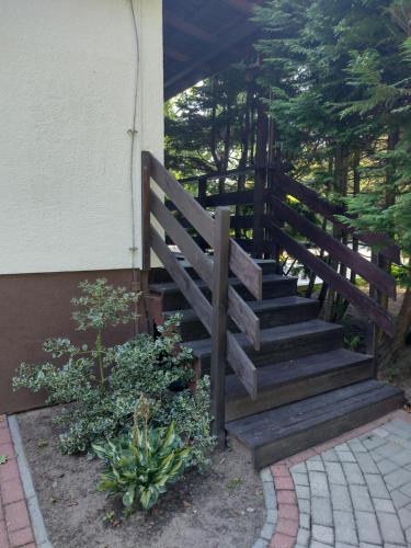 a wooden staircase next to a building with trees at Bukowe Zacisze in Gąski