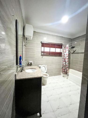 a bathroom with a sink and a toilet and a shower at Montreal Suite by Jaynice Homes in Lekki