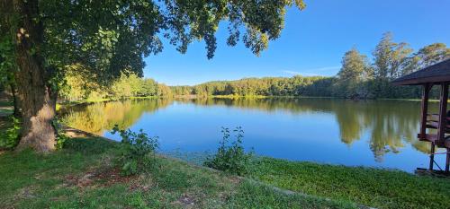 a lake with a tree and a gazebo at Hotel y Cabañas Las Mellizas - Caja Los Andes in Los Ángeles