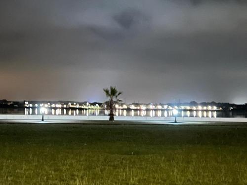 a palm tree in front of a building at night at Vela Marina, Costa Nova in Gafanha da Encarnação