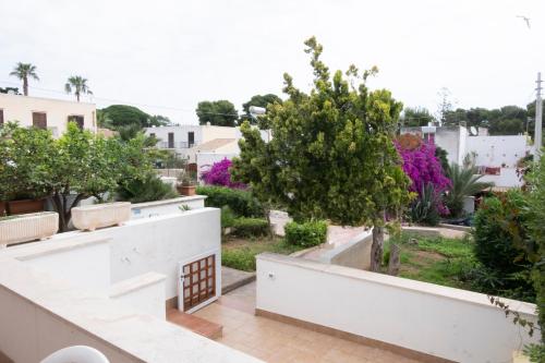 a view of the garden from the roof of a house at Casa Claire in San Vito lo Capo