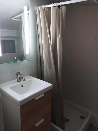une salle de bain avec un lavabo et un rideau de douche dans l'établissement Vieux Nice - 2P de charme idéalement placé, à Nice