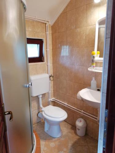 a bathroom with a toilet and a sink at Korondi Kulcsosházak in Corund