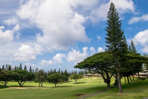 a tree in the middle of a golf course at Kapalua Villas Maui in Lahaina