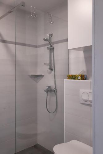 a white bathroom with a shower and a toilet at Apartment Pr Dev in Begunje na Gorenjskem