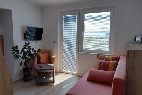 a living room with a couch and a window at Apartment Pr Dev in Begunje na Gorenjskem