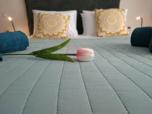 ein weißes Bett mit einer rosa Blume drauf in der Unterkunft StelisIoanna in Chania