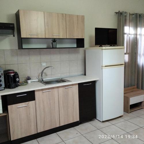 a kitchen with a sink and a white refrigerator at Miranda Studios in Paliouri