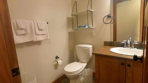 a bathroom with a toilet and a sink at Settlers Crossing #29 By Bear Country in Sun Peaks