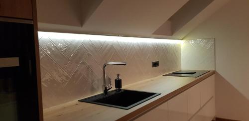 a kitchen counter with a sink and a light at AppPrusnik in Ljubljana