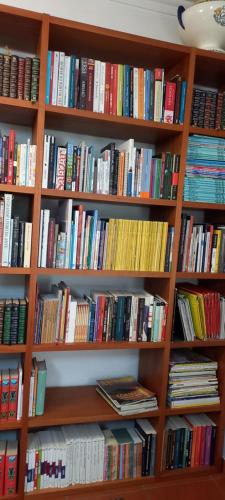 a book shelf filled with lots of books at Apartamento Tomar in Tomar