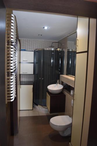 a bathroom with a toilet and a sink and a shower at Apartament Wictor Międzyzdroje in Międzyzdroje