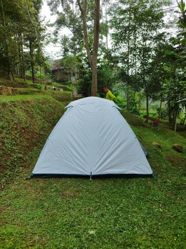 ein Zelt auf dem Rasen auf einem Feld in der Unterkunft Kebun Hanoman Camping Ground in Pablengan