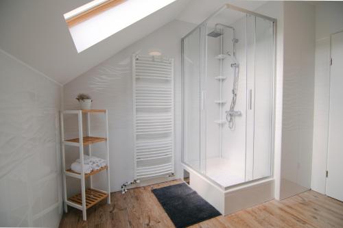a bathroom with a shower and a glass shower stall at Holiday house Daisy in Plaški