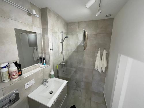 a bathroom with a sink and a shower and a sink at Appena Guest House in Krakow