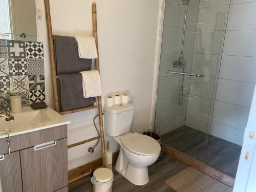 a bathroom with a toilet and a shower at Quinta oriana in Paderne