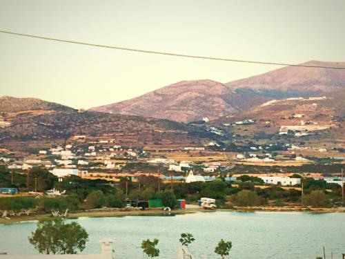 Gallery image of Dolphin Rooms in Antiparos Town
