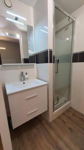 une salle de bain avec un lavabo blanc et une douche dans l'établissement Duplex T2 Neuf Jardin Lecoq, à Clermont-Ferrand