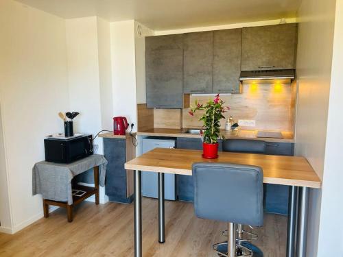 Kuchyň nebo kuchyňský kout v ubytování Bel appartement coeur de Vannes