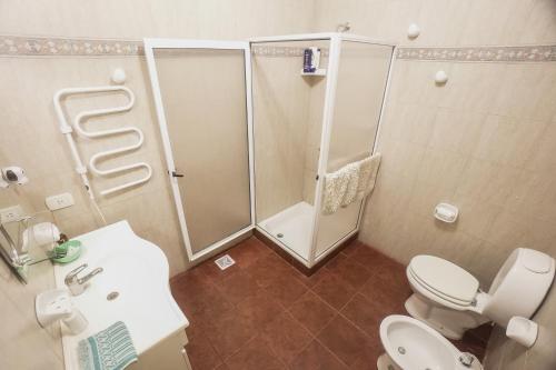 a bathroom with a shower and a toilet and a sink at Estancia Santa Elena in Villa Lía