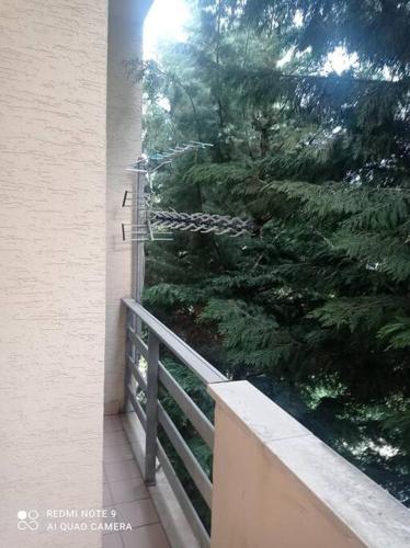 a christmas tree on the side of a balcony at Lake Harmony Haven in Tushemisht