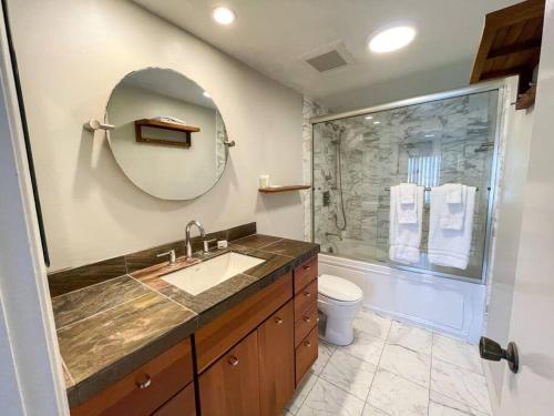 a bathroom with a sink and a toilet and a mirror at IB Seaside Paradise w/ Ocean Views! in Imperial Beach