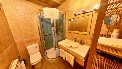 La salle de bains est pourvue de toilettes, d'un lavabo et d'une douche. dans l'établissement La buhardilla de Escarrilla - tucasaenlospirineos, à Escarrilla