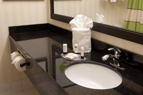 encimera con lavabo y espejo en Fairfield Inn & Suites by Marriott Memphis East Galleria, en Memphis