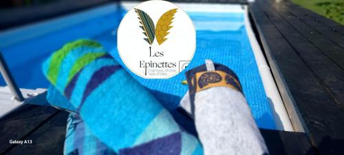 Bazén v ubytování Les Epinettes chambres d'hôtes nebo v jeho okolí